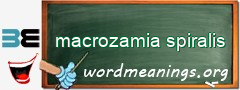 WordMeaning blackboard for macrozamia spiralis